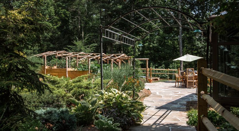 Photo of Hawk & Falcon