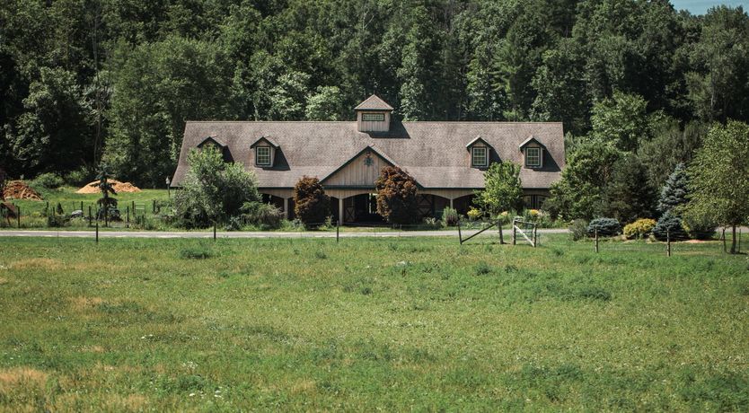 Photo of Hawk & Falcon