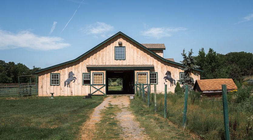 Photo of Hawk & Falcon