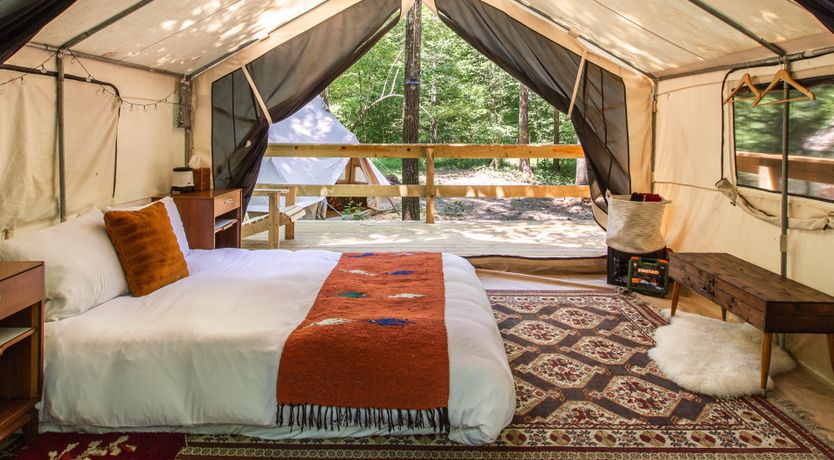 Photo of Hawk & Falcon