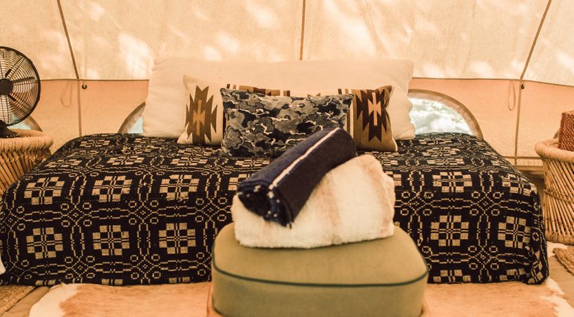 Photo of Hawk & Falcon