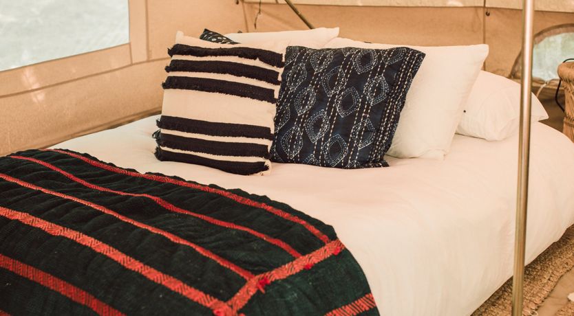 Photo of Hawk & Falcon