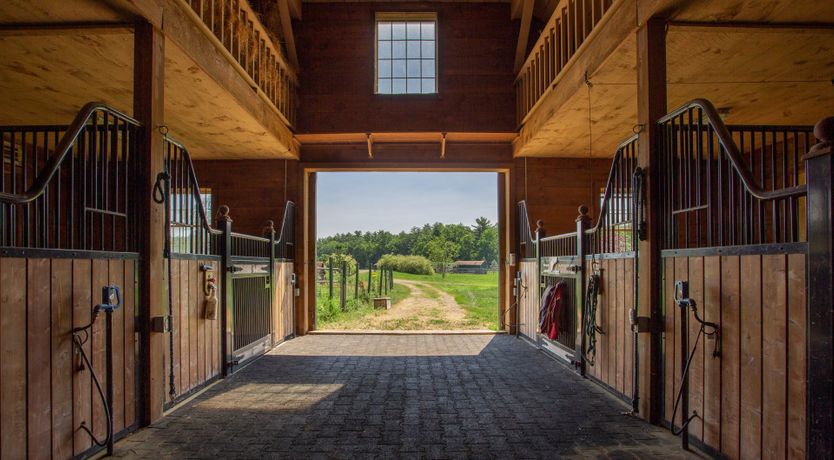 Photo of Hawk & Falcon