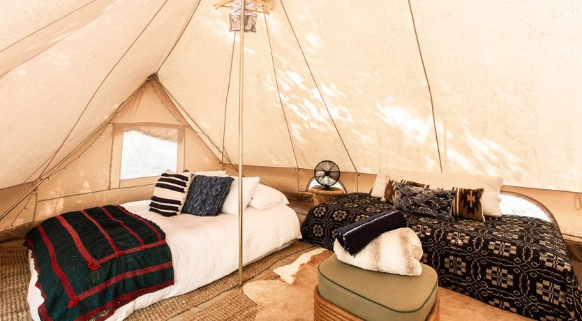 Photo of Hawk & Falcon