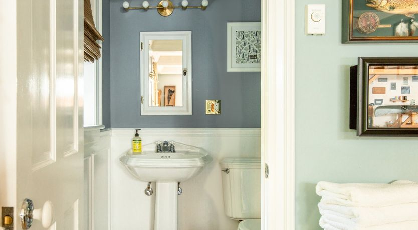 Photo of Hawk & Falcon