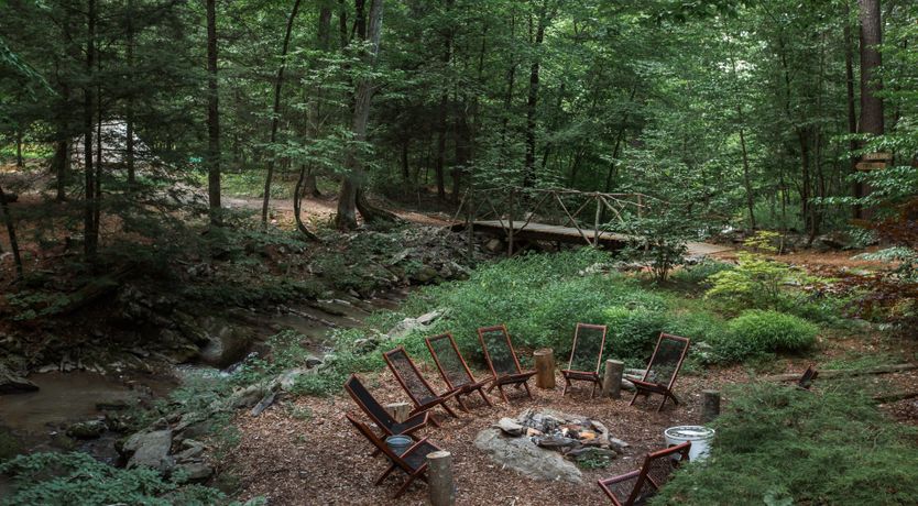 Photo of Hawk & Falcon