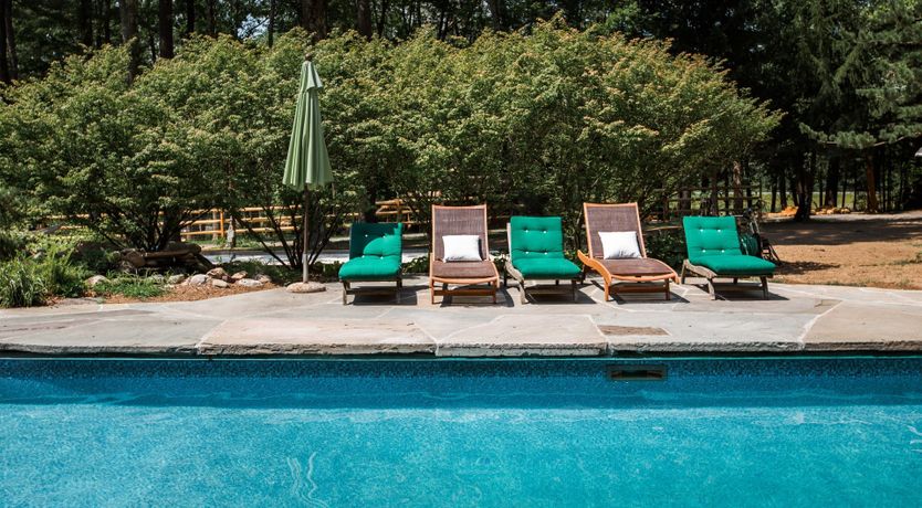 Photo of Hawk & Falcon