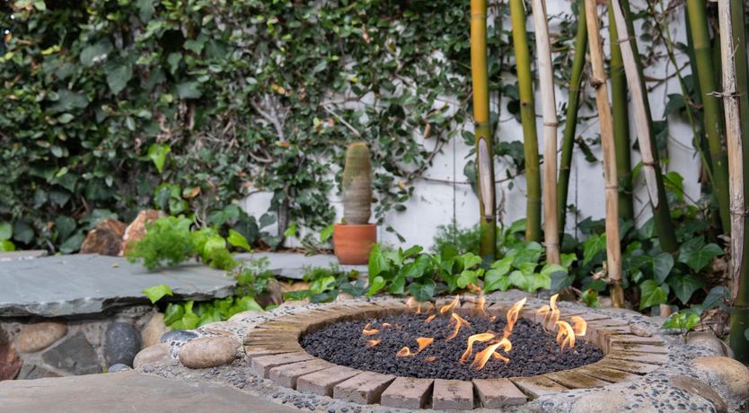 Photo of The Moonline