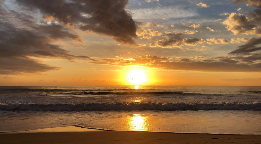 Photo of The Moonline