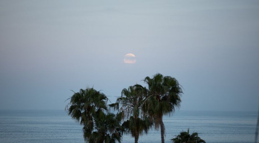 Photo of The Moonline