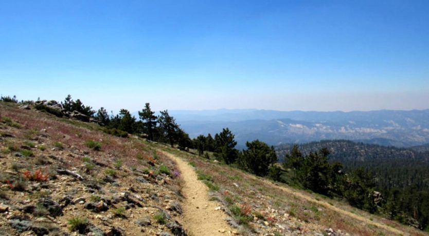 Photo of Written In The Stars