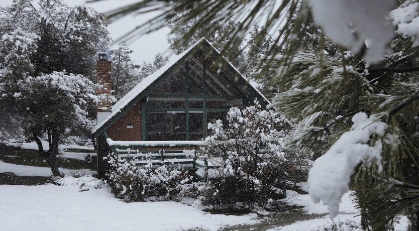 Photo of Written In The Stars