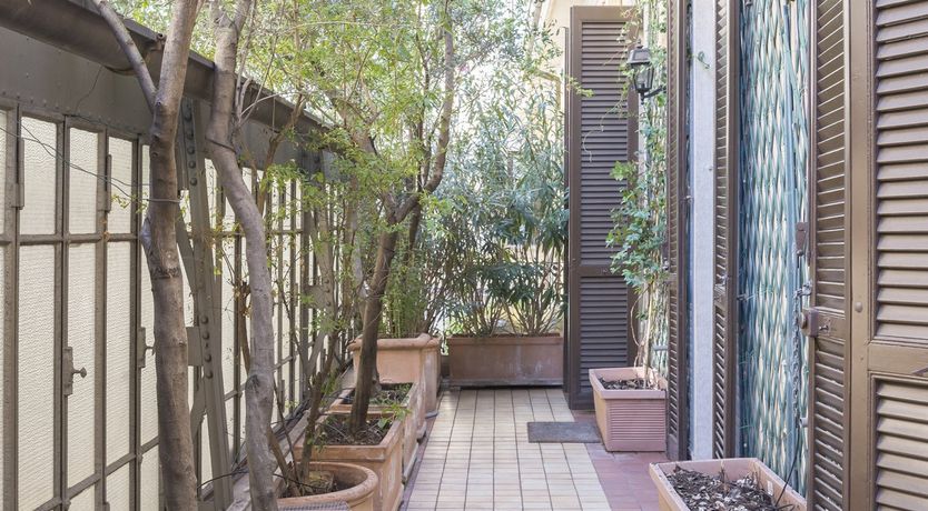 Photo of Palm Fronds