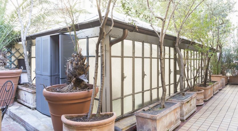 Photo of Palm Fronds