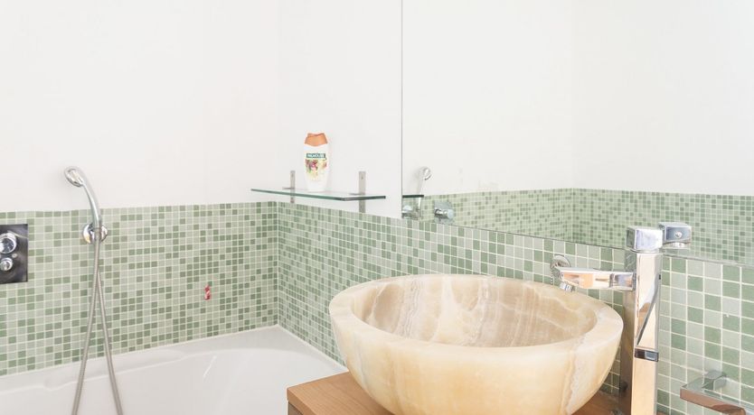 Photo of Palm Fronds