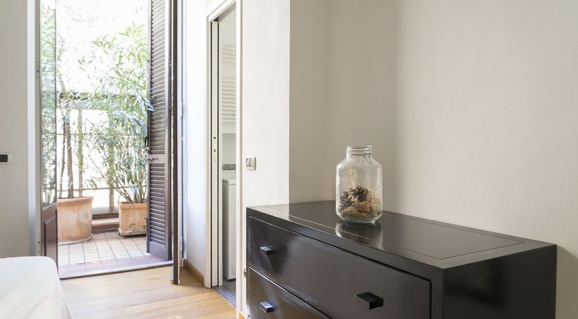 Photo of Palm Fronds