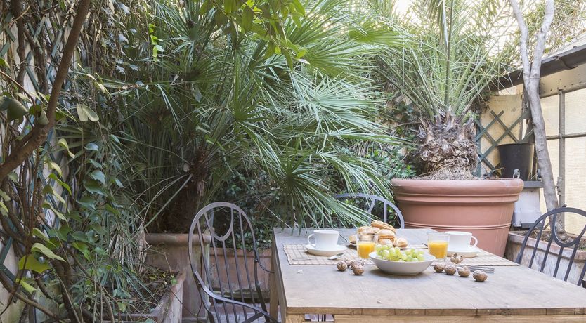 Photo of Palm Fronds