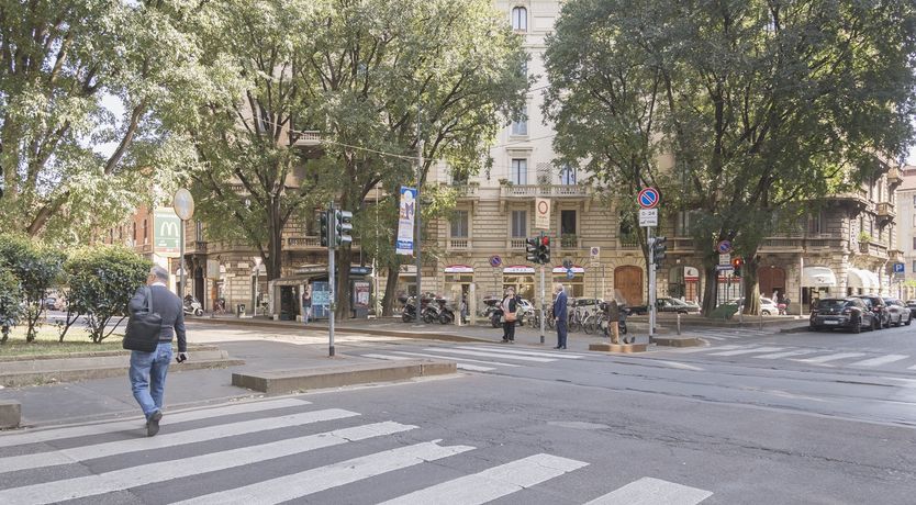 Photo of Palm Fronds