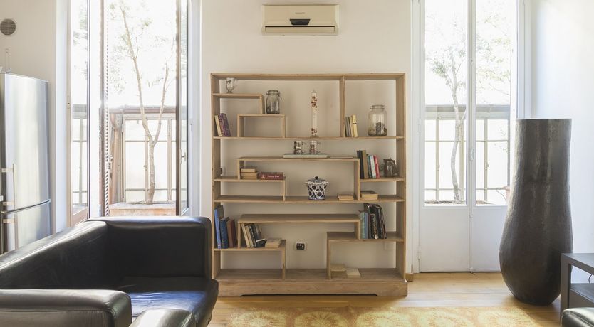 Photo of Palm Fronds