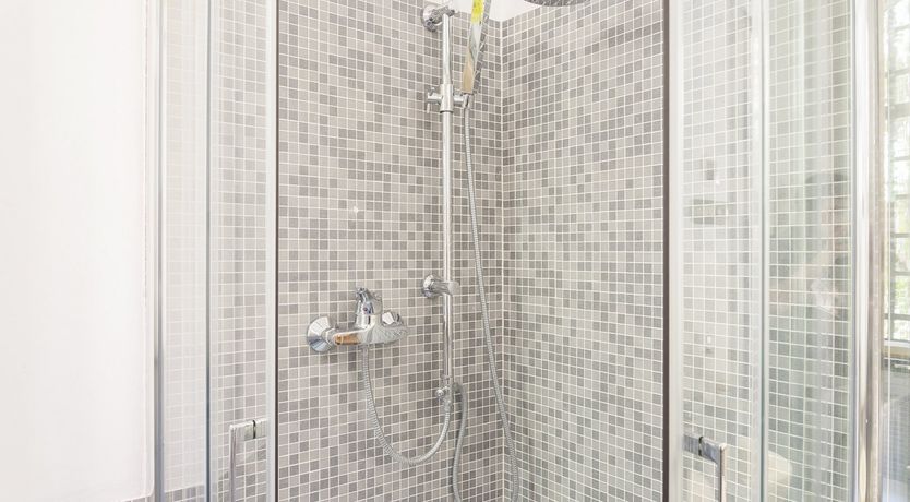 Photo of Palm Fronds