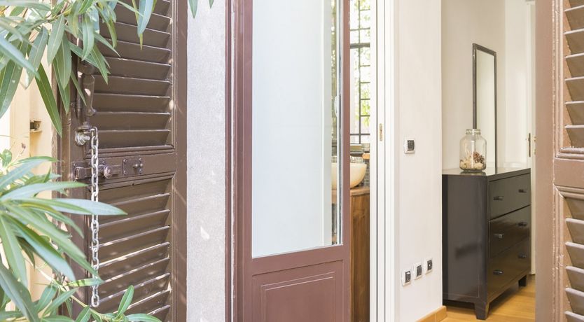 Photo of Palm Fronds