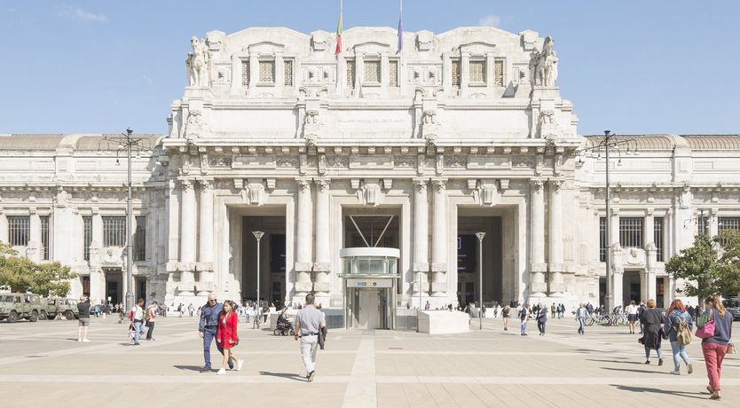 Photo of Palm Fronds