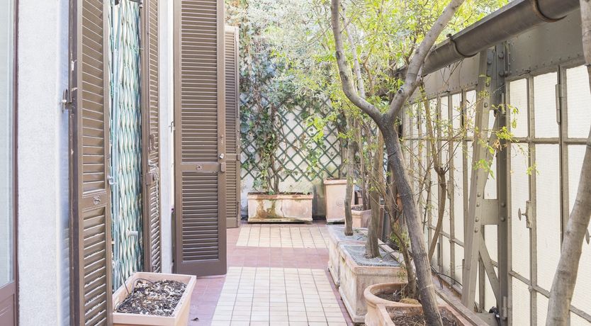 Photo of Palm Fronds