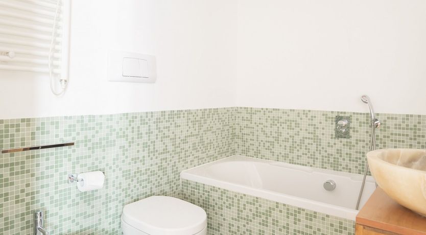 Photo of Palm Fronds