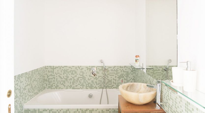 Photo of Palm Fronds