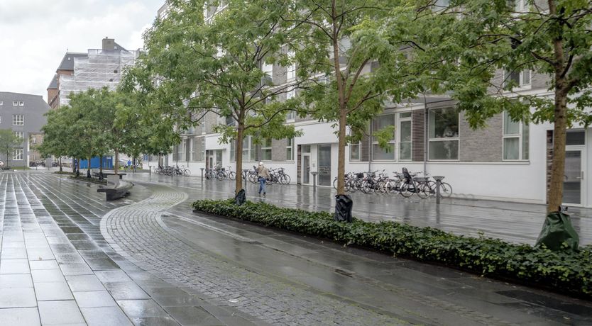 Photo of Focal Point