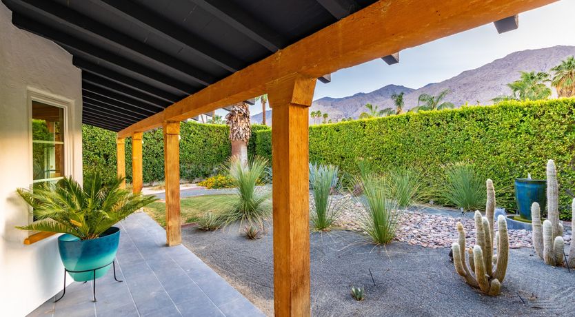 Photo of Desert Star