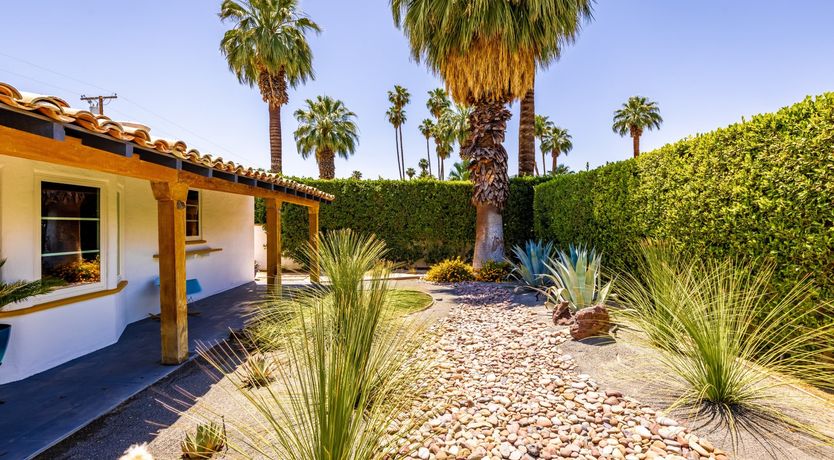 Photo of Desert Star