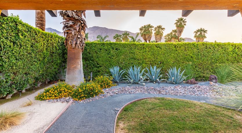 Photo of Desert Star