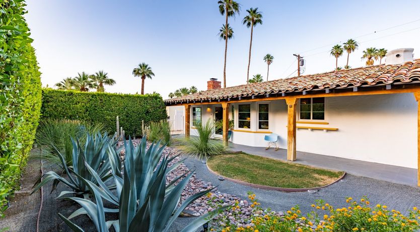 Photo of Desert Star