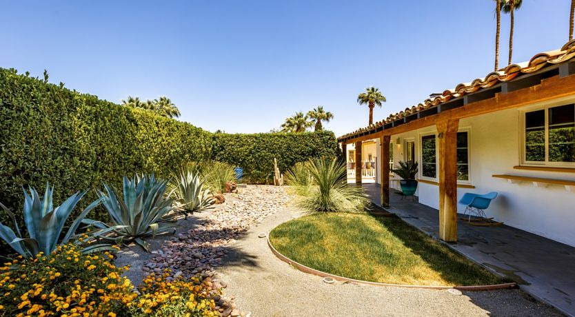 Photo of Desert Star