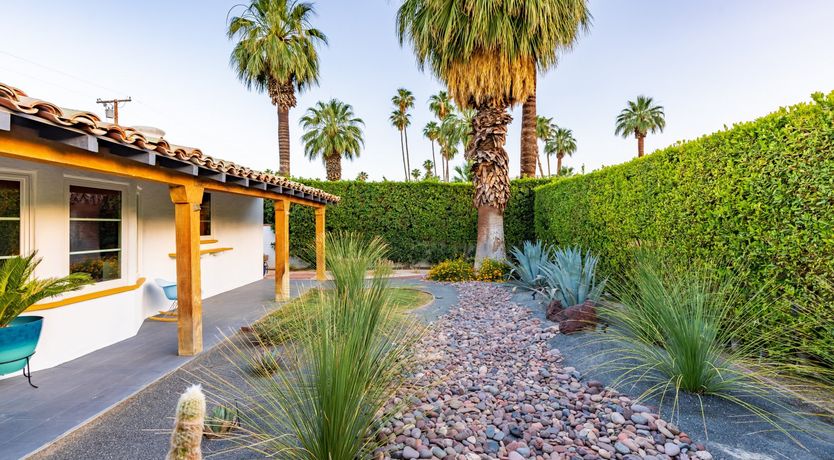 Photo of Desert Star