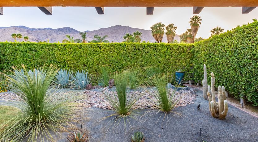 Photo of Desert Star