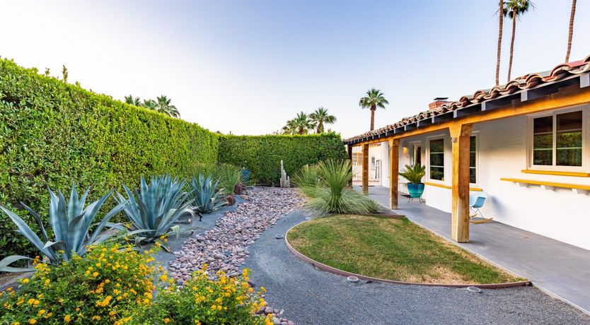 Photo of Desert Star