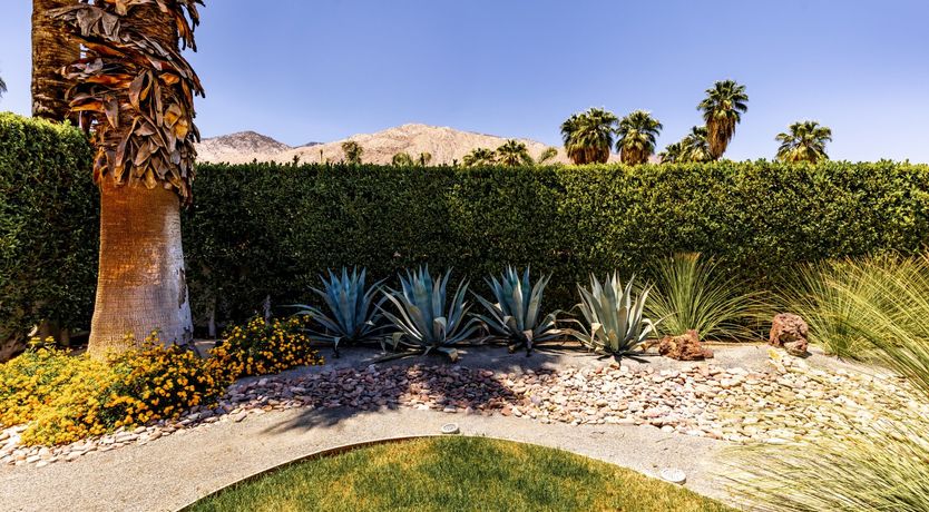 Photo of Desert Star