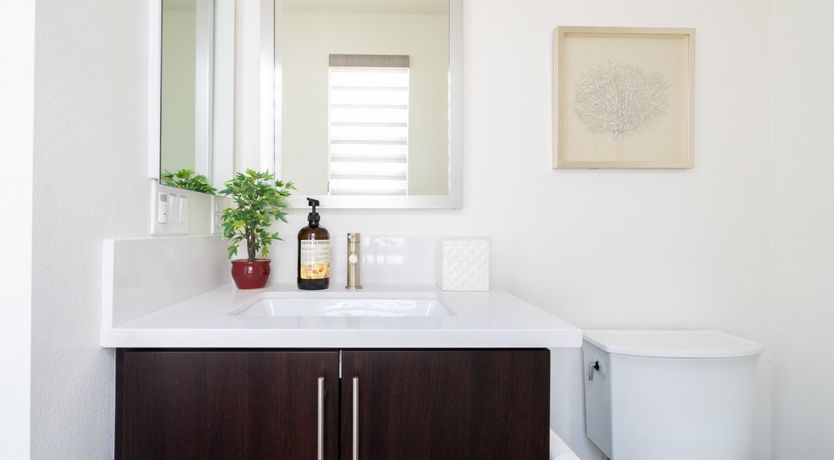 Photo of Hollywood Bowl