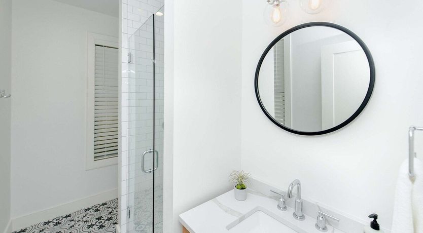 Photo of Carolina Wren