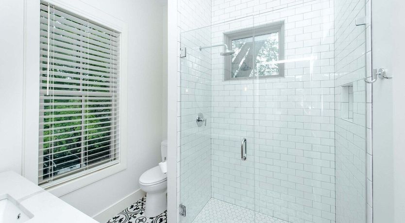 Photo of Carolina Wren