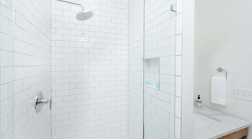 Photo of Carolina Wren