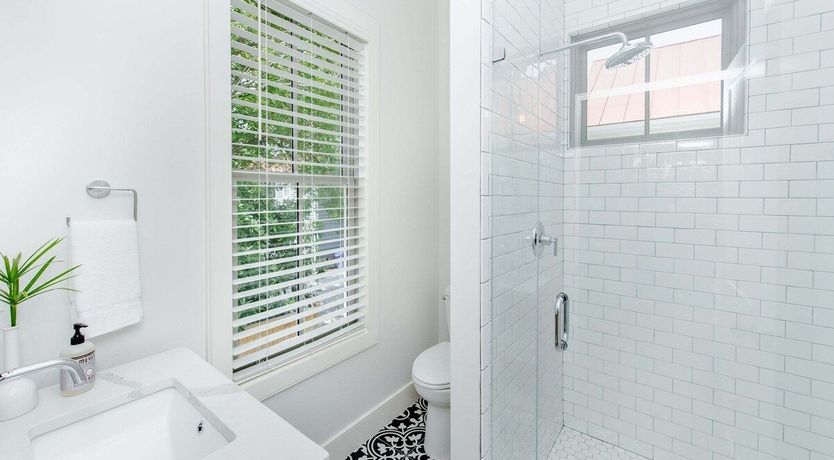 Photo of Carolina Wren