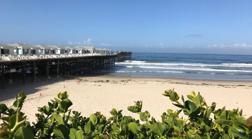 Photo of Cali Crystal