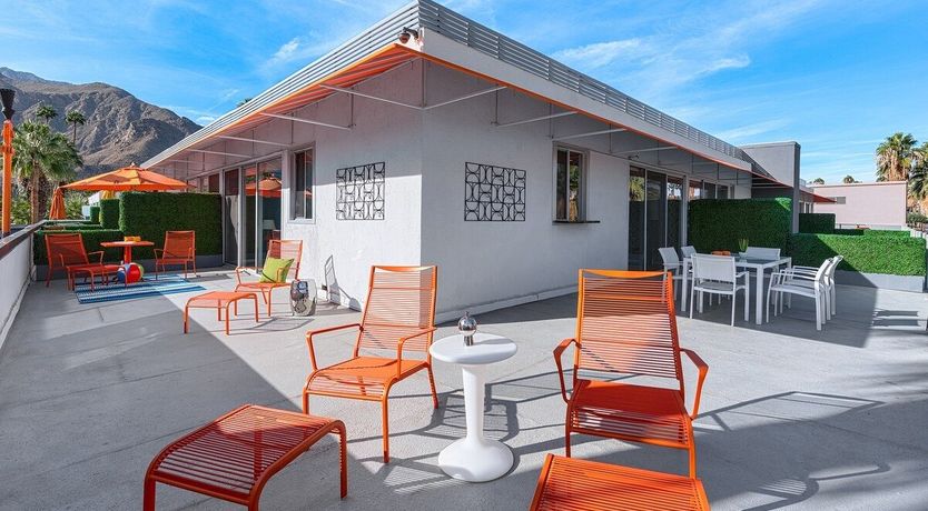 Photo of White Lizards