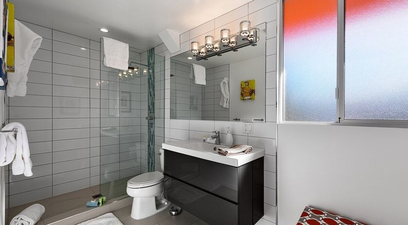 Photo of White Lizards