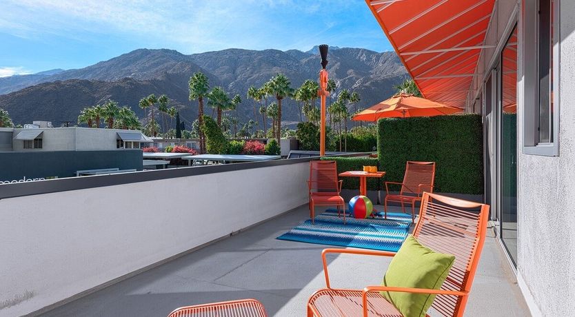 Photo of White Lizards