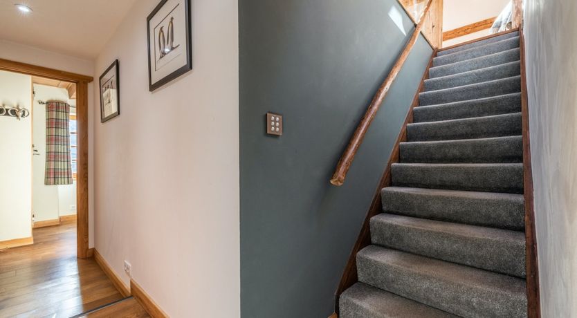 Photo of Belle du Jour