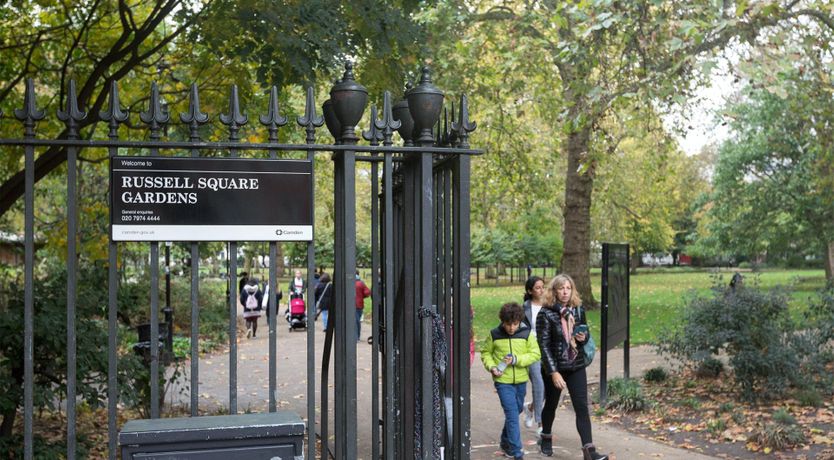 Photo of Cherry Crumble